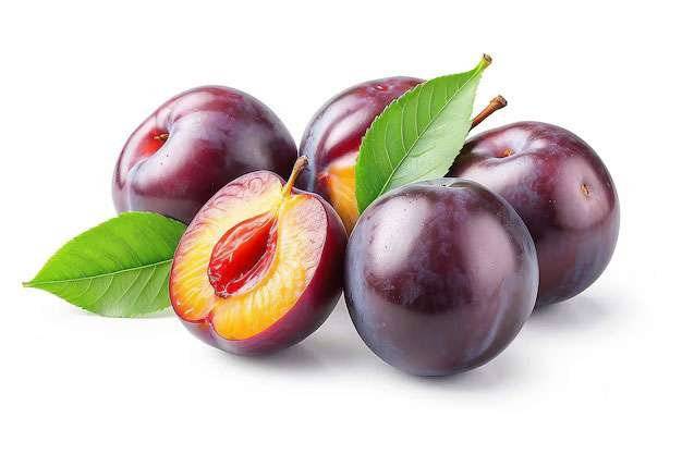 Plum