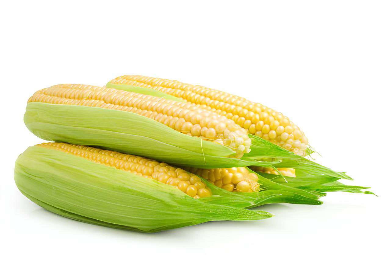 Sweet Corn