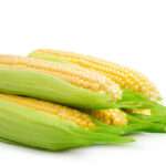 Sweet Corn